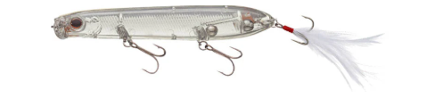 Evergreen SB Topwater