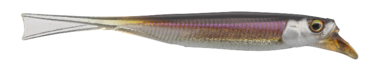 Jackall Drift Fry 4" Flashing Wakasagi 5 pk