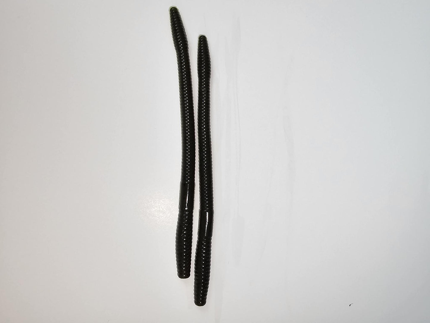 Georgia Shaker Worm