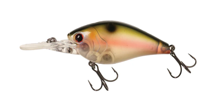 Xcite Xb1 DD Silent Crank