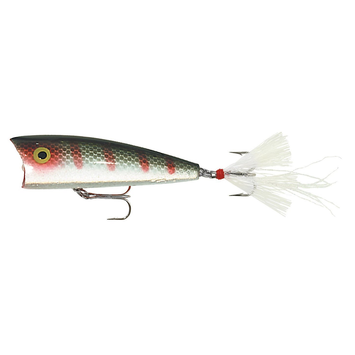 Rebel Pop-R Plus Green Perch G-Finish Size 6