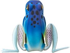 LUNKERHUNT Hollow Body Popping Frog
