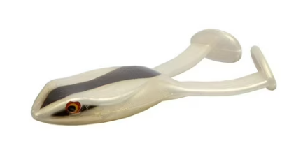 Zoom Frog
